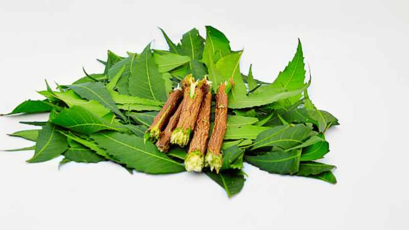 neem Ayurvedic Tips Telugu