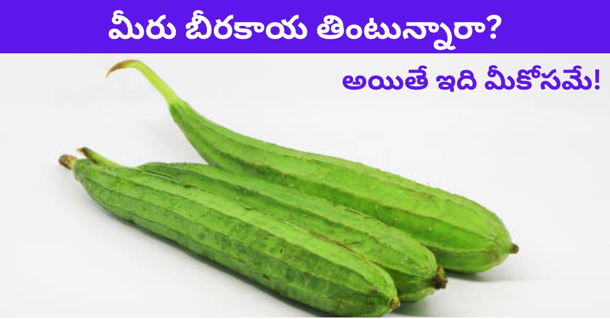 Ridge Gourd is good or Bad and know the benifits