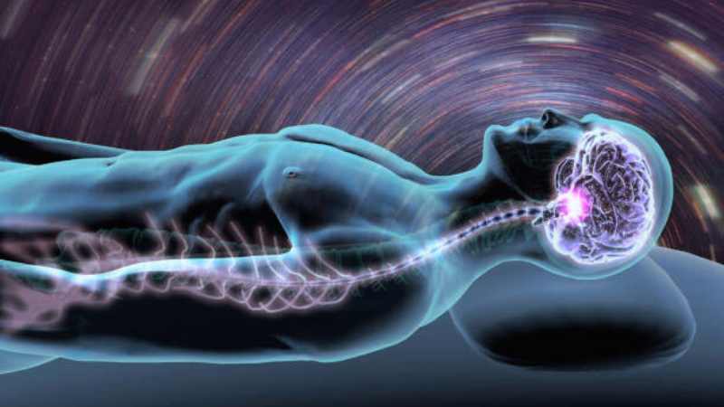  parasympathetic nervous system for sleep