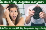 White Hair to Black Hair Tips in Telugu